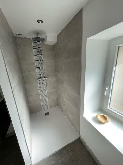 Logement Idealement Situe Sur La Voie Verte Celles-sur-Plaine Bagian luar foto
