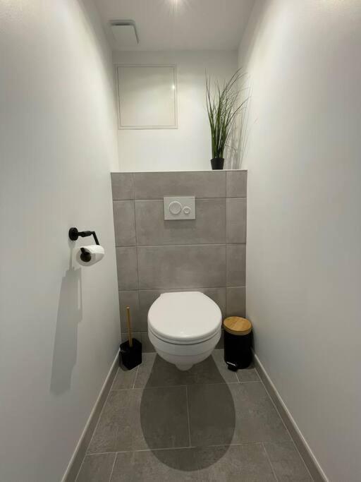 Logement Idealement Situe Sur La Voie Verte Celles-sur-Plaine Bagian luar foto